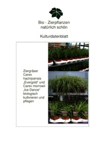 Organic Eprints Kulturbeschreibungen Bio Zierpflanzen (Geranien